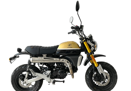 X-BONGO 50 CC LILLE KNALLERT