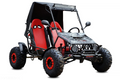 150 cc BUGGY MODEL BS