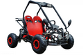 125 cc BUGGY BS