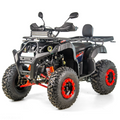 250cc ATV, XTR 012/10 PRO