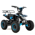 1000 W, ATV MODEL XTR E-M8