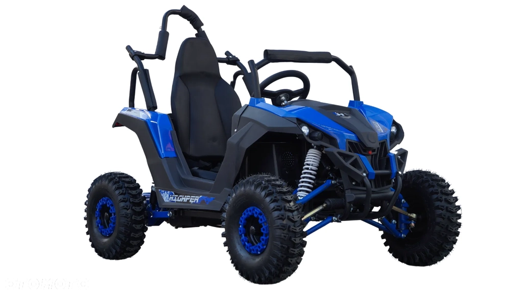 BUGGY MODEL BS-1500W