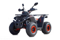 125cc ATV,  TAOMOTOR
