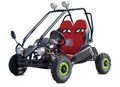 1000 W BUGGY
